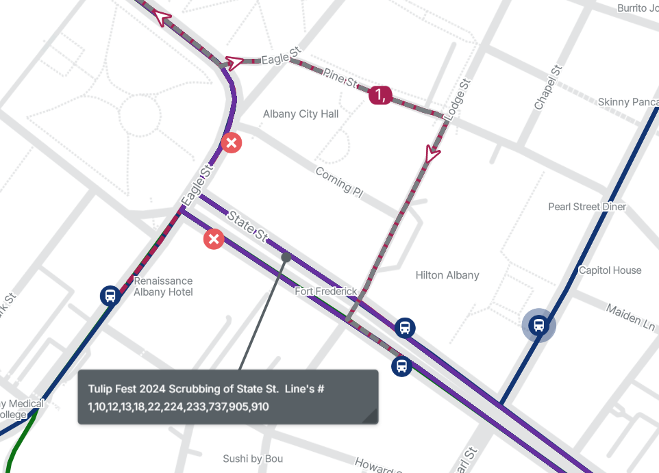 Tulip Fest Scrubbing Detour