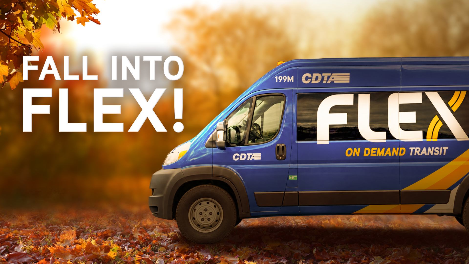 Fall into Flex